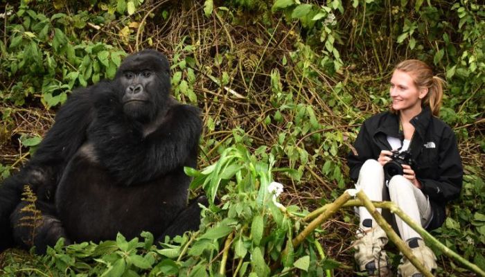 Go Gorilla Trekking Uganda