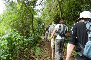 17 Days Nyirangongo Hiking & Gorillas