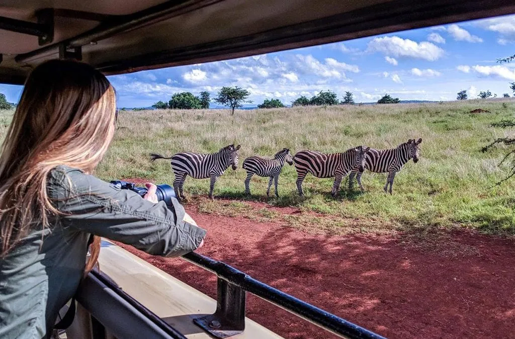 2 Days Akagera National Park Safari