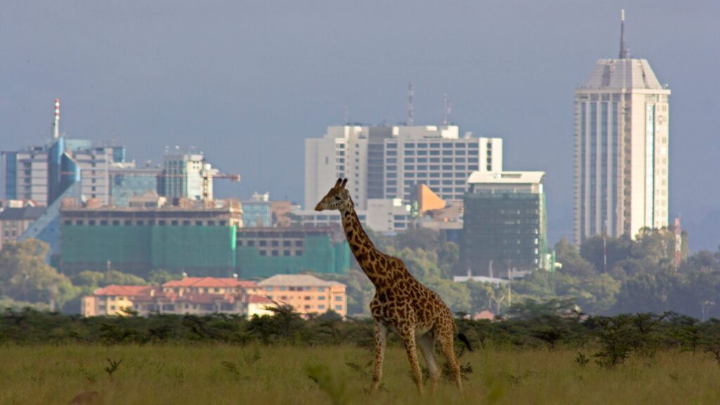 Is Kenya Safe for Tourists
