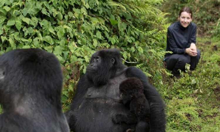 How many days do you need for gorilla trekking